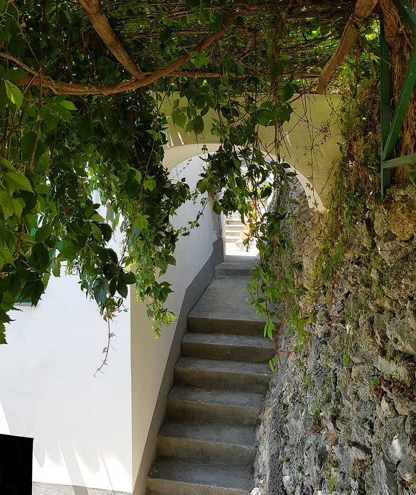 Pergola